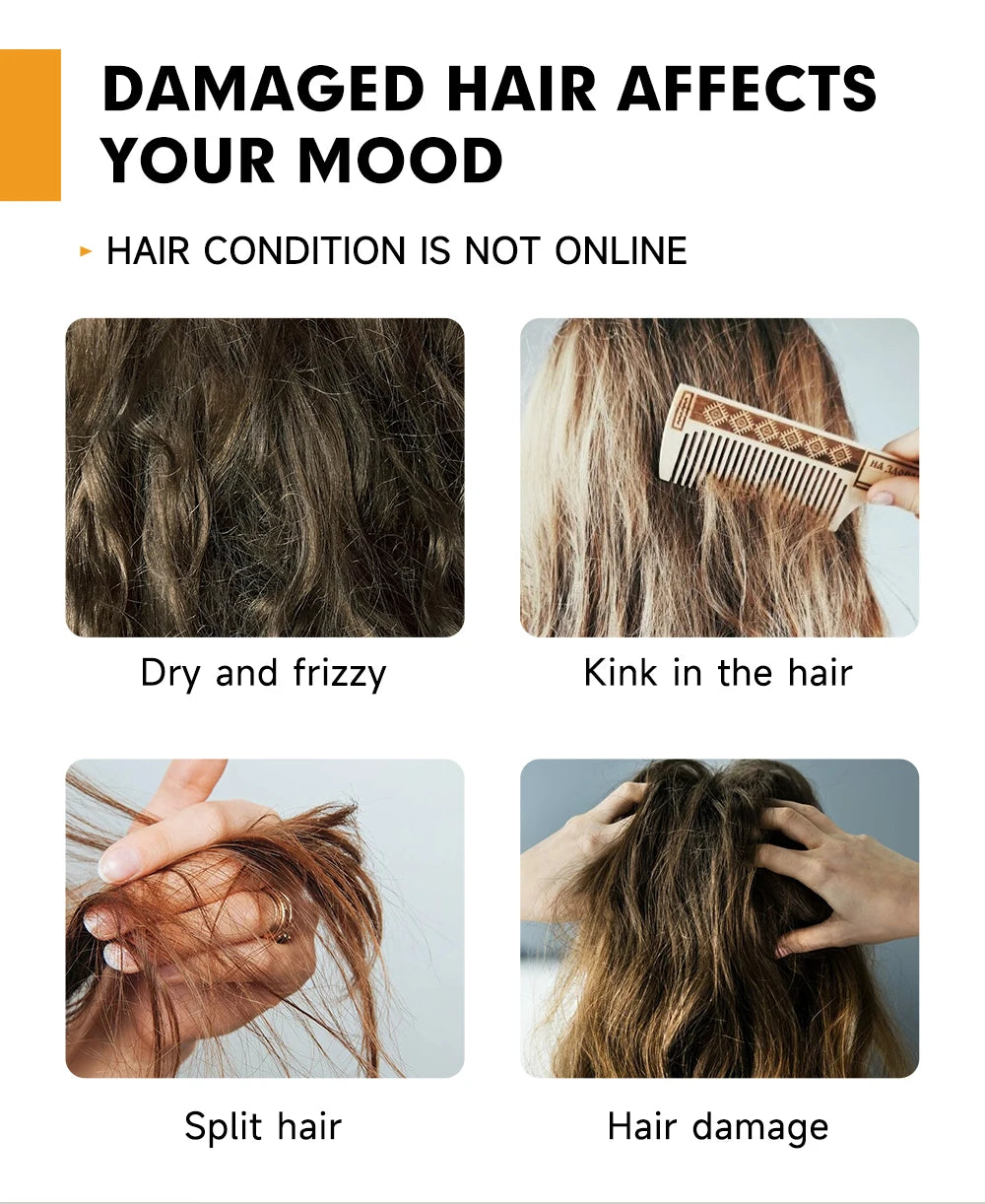 Illustration of damaged hair conditions with text on a white background