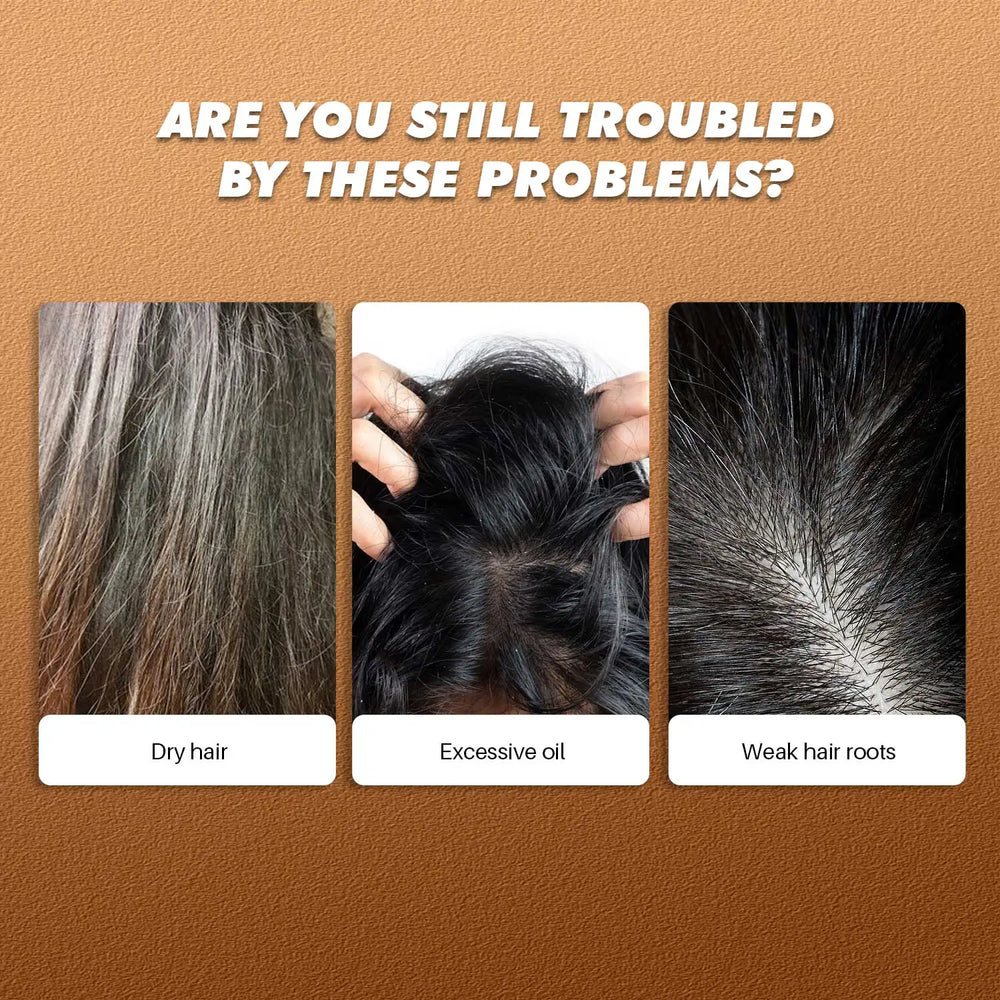 Three images of hair issues with text asking if problems persist and labels for dry hair, excessive oil, and weak hair roots on a brown background.