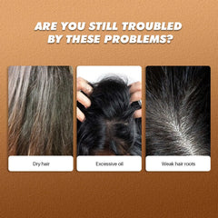 Three images of hair issues with text asking if problems persist and labels for dry hair, excessive oil, and weak hair roots on a brown background.