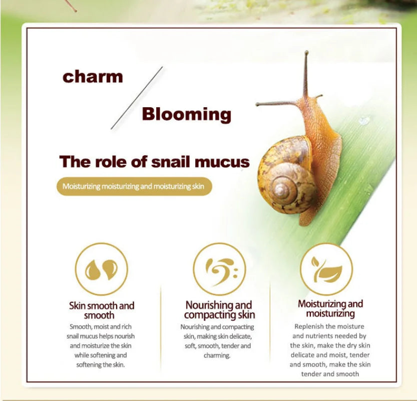 Snail on a leaf with text about the role of snail mucus in skincare.