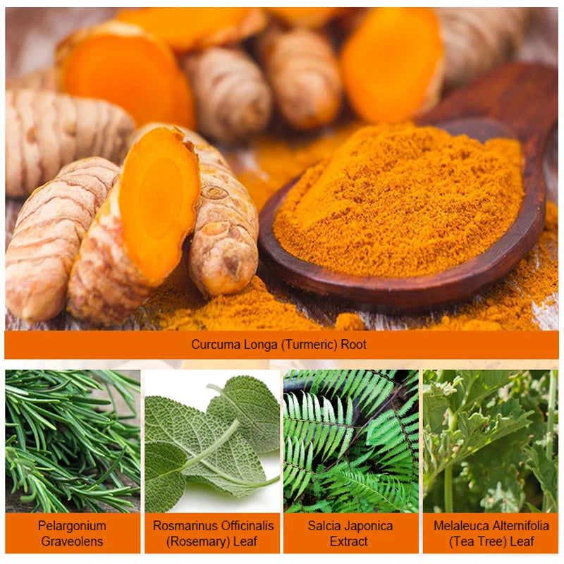 Turmeric root and powder with additional herbs on an orange background