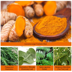 Turmeric root and powder with additional herbs on an orange background