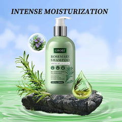 Rosemary Scalp Care Shampoo & Conditioner | Nutrient-Rich & Hydrating Formula